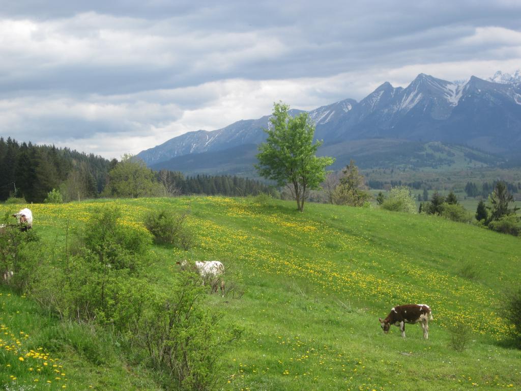 Apartamenty I Pokoje Rodzinne Czarna Góra Buitenkant foto